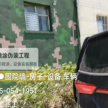 贵港数码迷彩漆施工